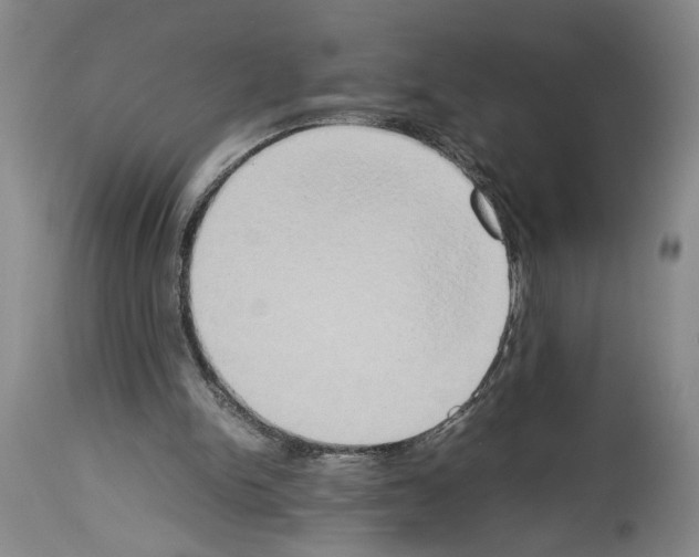 X0000113930150200911061227