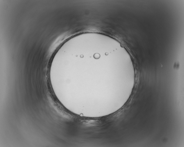 X0000113930151200911061227