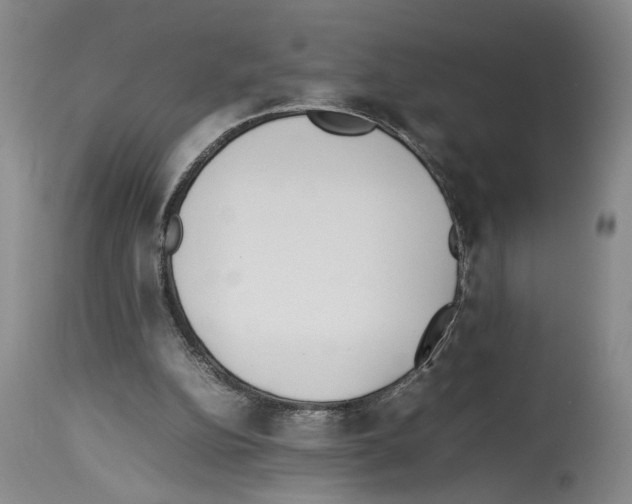 X0000113930152200911061227