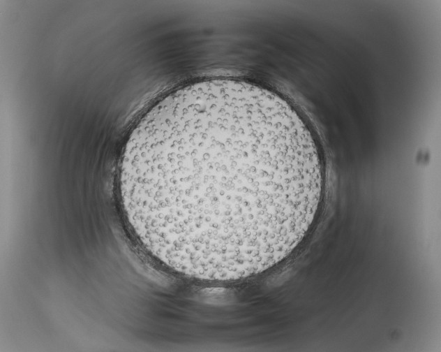 X0000113930153200911061227