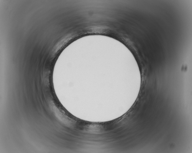 X0000113930154200911061227