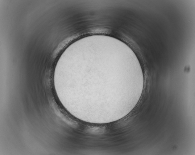 X0000113930155200911061227