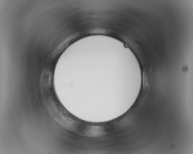 X0000113930157200911061227