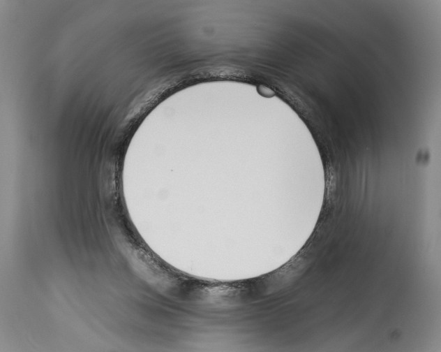 X0000113930158200911061227