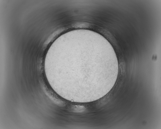 X0000113930159200911061227