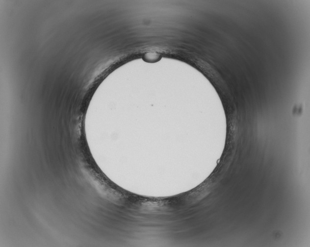 X0000113930160200911061227