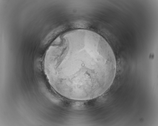 X0000113930162200911061227