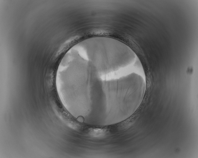 X0000113930163200911061227