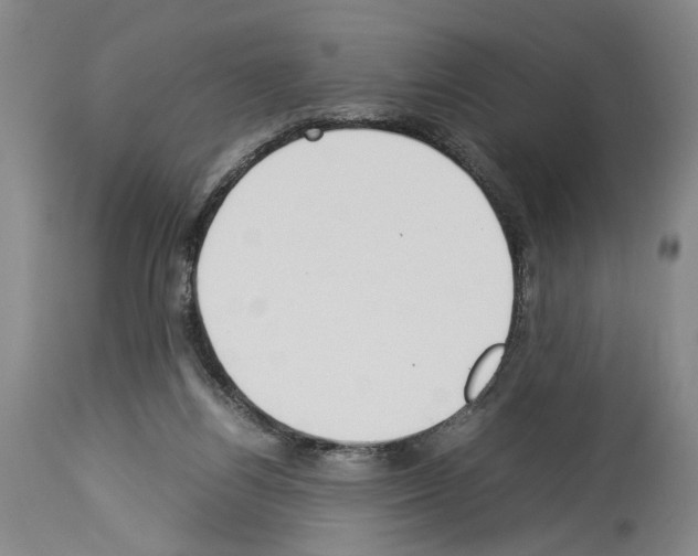 X0000113930164200911061227