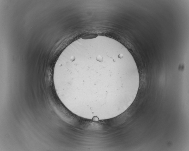 X0000113930166200911061227