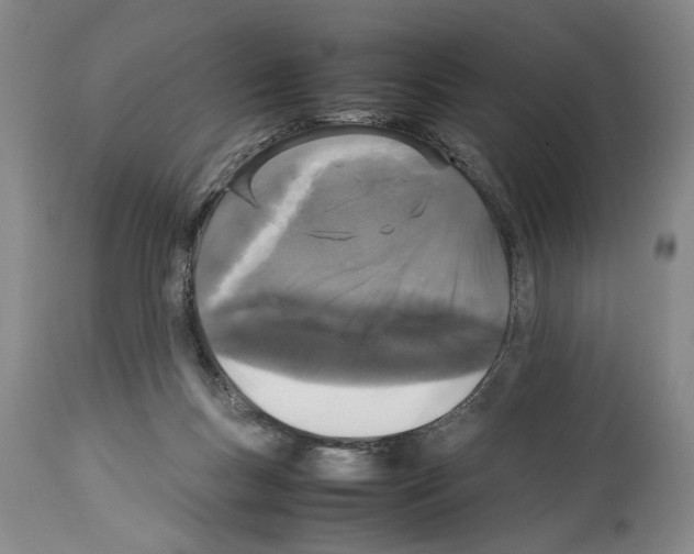 X0000113930167200911061227