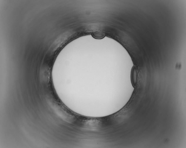 X0000113930168200911061227