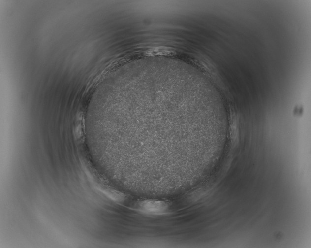 X0000113930169200911061227