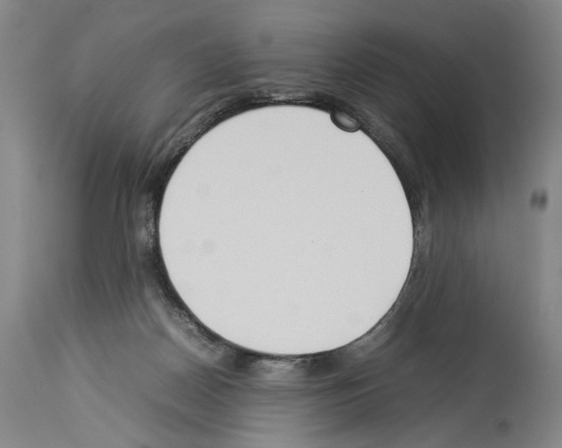 X0000113930170200911061227