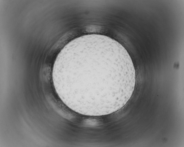X0000113930171200911061227