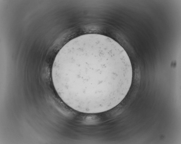 X0000113930173200911061227