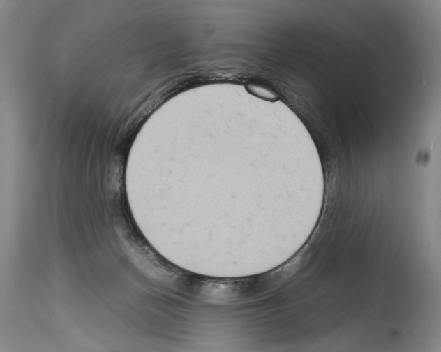 X0000113930174200911061227