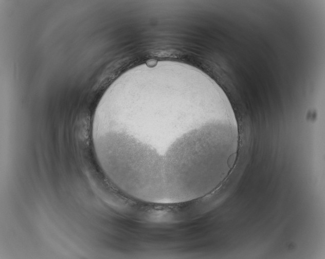 X0000113930175200911061227