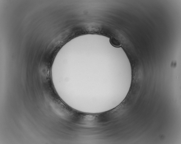 X0000113930176200911061227