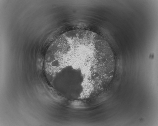 X0000113930177200911061227