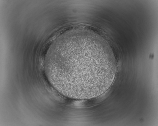 X0000113930178200911061227