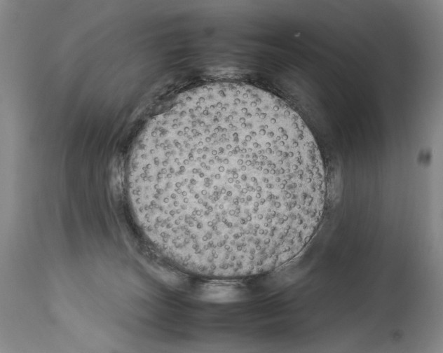 X0000113930179200911061227