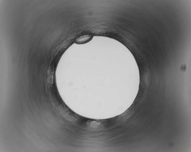 X0000113930180200911061227