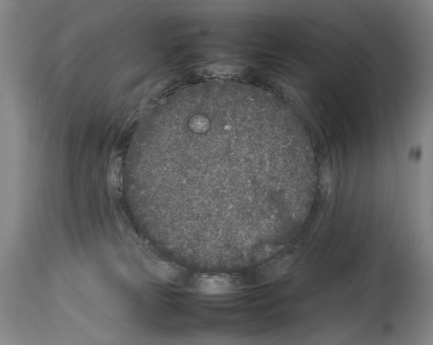 X0000113930181200911061227