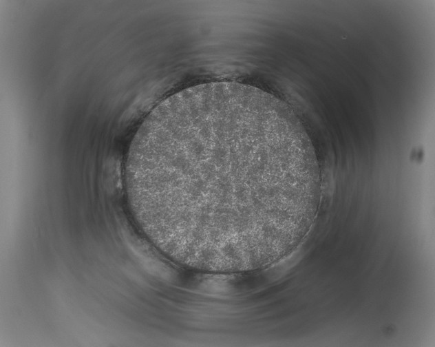 X0000113930182200911061227