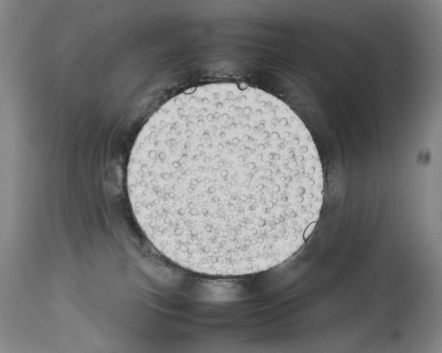 X0000113930183200911061227