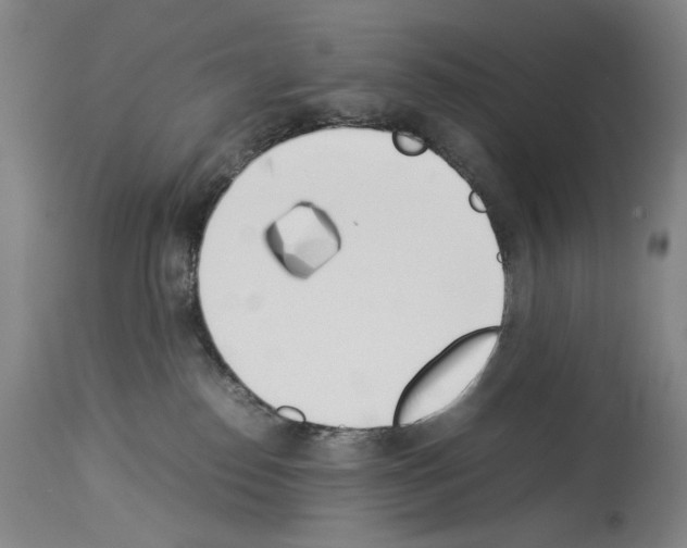 X0000113930186200911061227