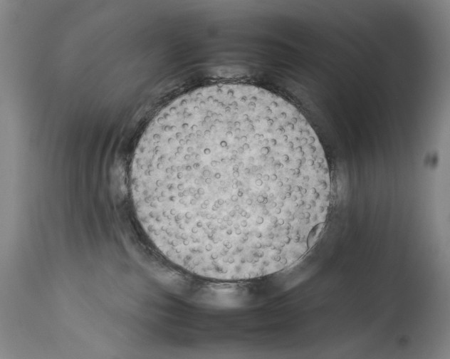 X0000113930187200911061227