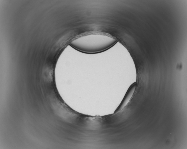 X0000113930188200911061227