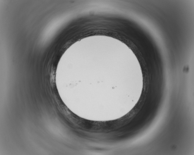 X0000113930190200911061227