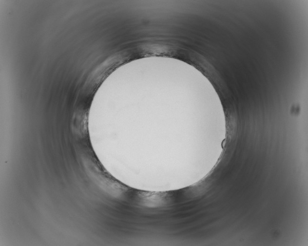X0000113930191200911061227