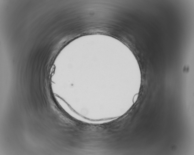 X0000113930193200911061227