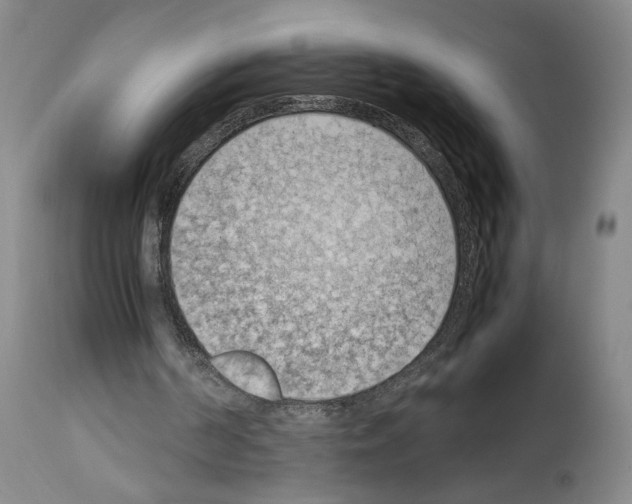 X0000113930194200911061226