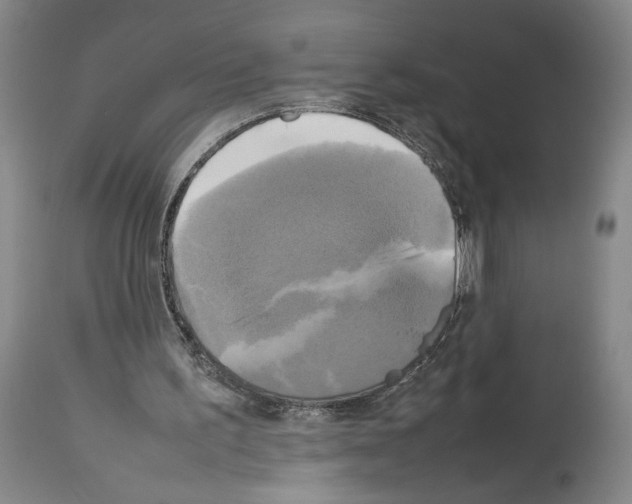X0000113930195200911061226
