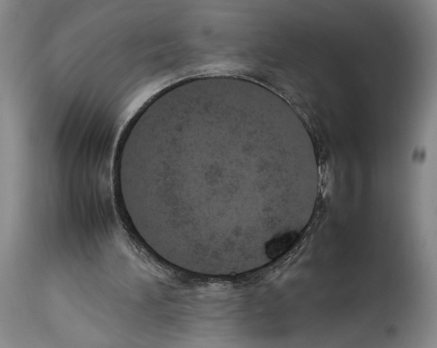X0000113930196200911061226