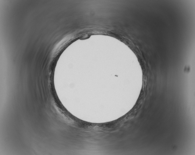 X0000113930197200911061226