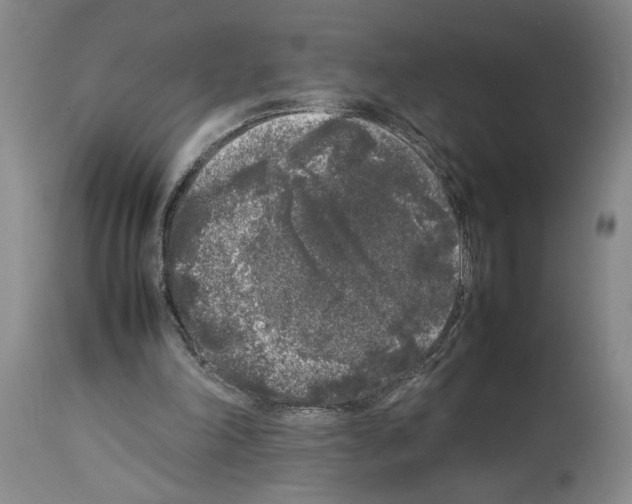 X0000113930198200911061226