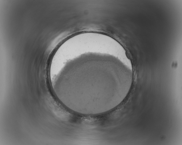 X0000113930199200911061226