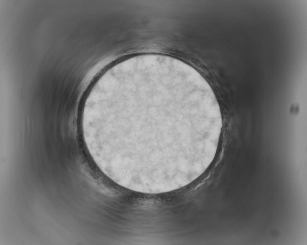 X0000113930200200911061226