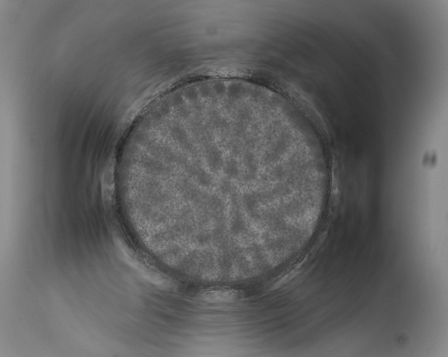 X0000113930202200911061226