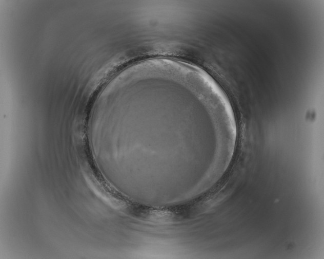 X0000113930203200911061226
