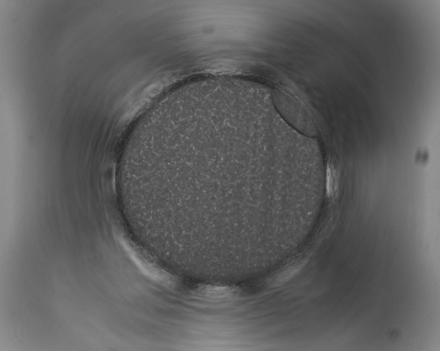 X0000113930205200911061226