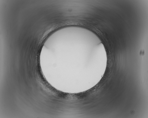 X0000113930207200911061226