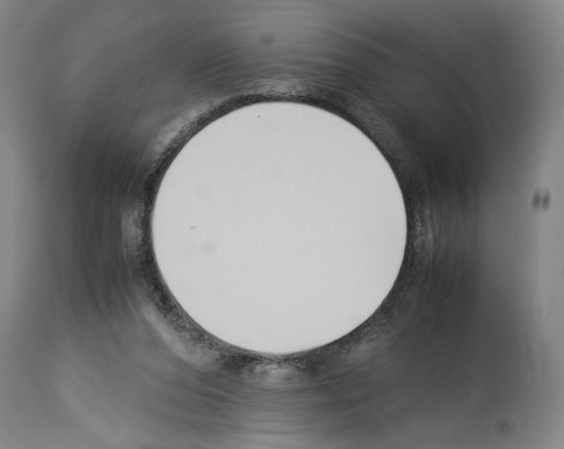 X0000113930208200911061226