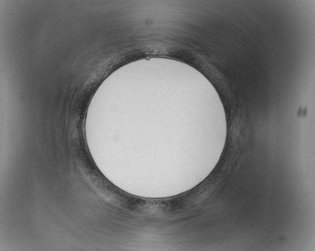 X0000113930209200911061226