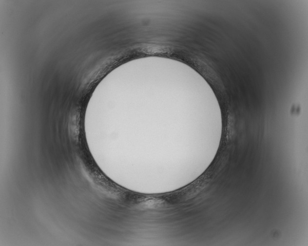 X0000113930210200911061226